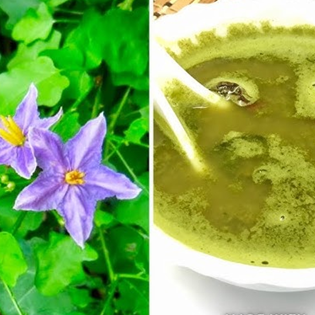Thuthuvelai Soup